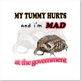 My Tummy Hurts And I'm MAD At The Government Meme Posters and Art